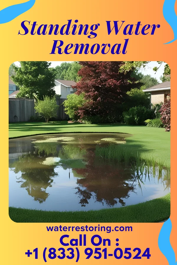 Standing Water Removal in Yanceyville, NC